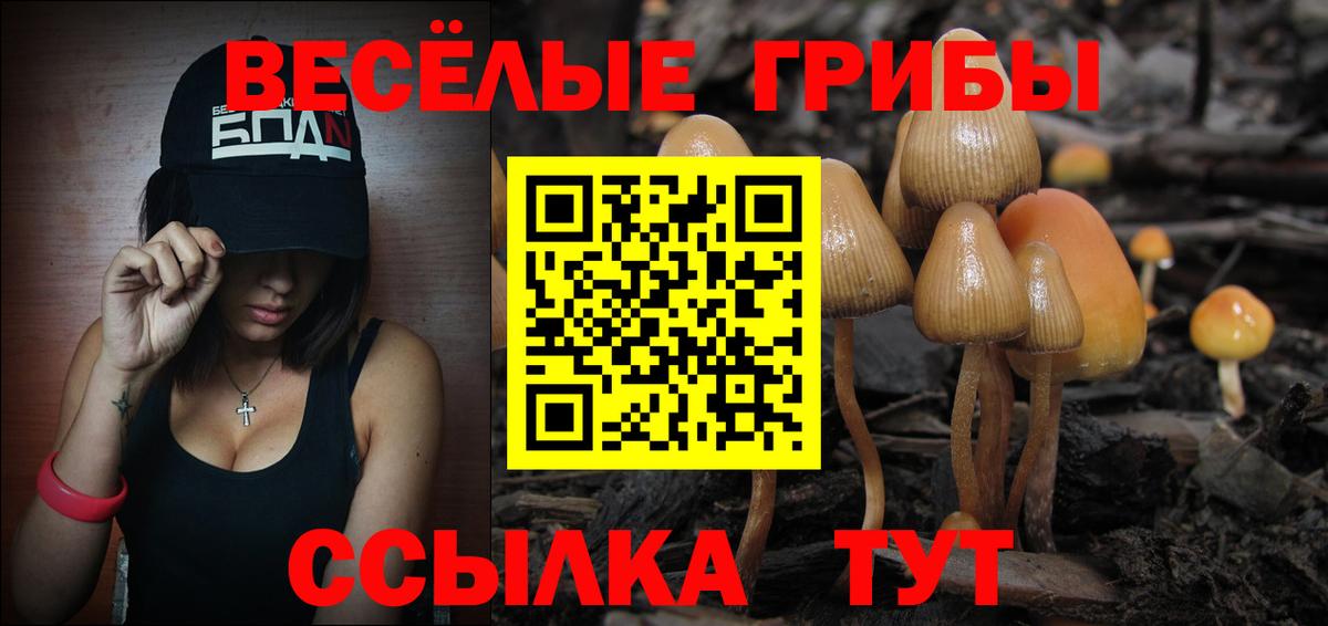 Тельмана  Галлюциногенные грибы GOLDEN TEACHER  Вход с VPN 