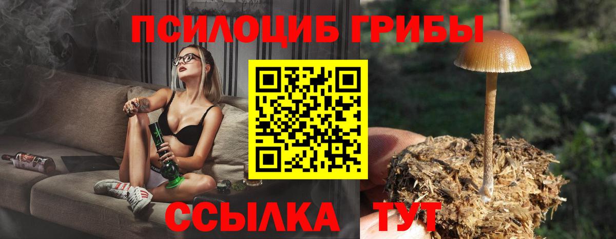 Псилоцибиновые грибы мухоморы Тельмана
